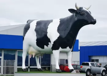 Fiberglass Heykel Fiyatları – Dekoratif ve Ekonomik Çözümler