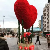 Kent Mobilyalari 5 1