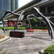 Lansman Uygulamalari 1