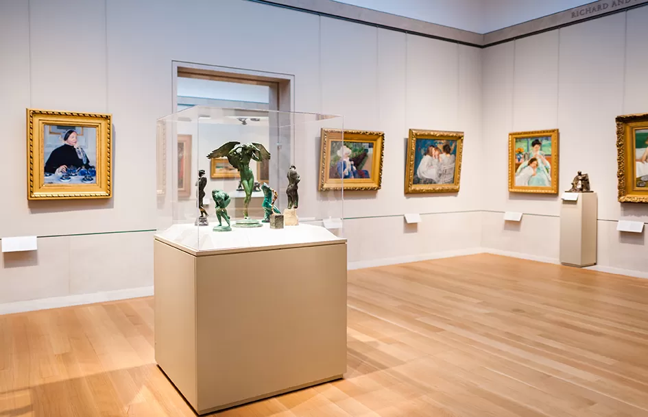 Muze Sergileme Elemanlari