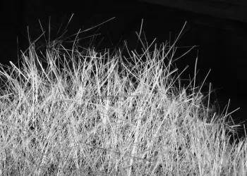 Fiberglass (Cam Elyafı) Nedir?