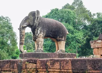 Dev Hayvan Heykelleri – En Kalabalık Meydanlara Hareket Katıyoruz!