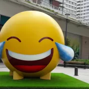 Fiberglass Emoji 1