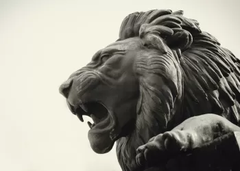 Hayvan Heykeli Üretimi